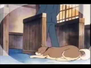 Hachiko cartoon