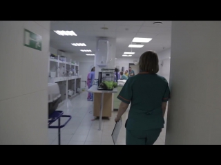 Ветеринары серия 3