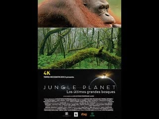 Планета джунглей / jungle planet серия 4 мир колючек / a world of horns