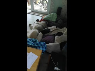 Vid 20200610 113525 mp4