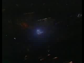 Baby one more time (dwad tour in florida wal mart special)