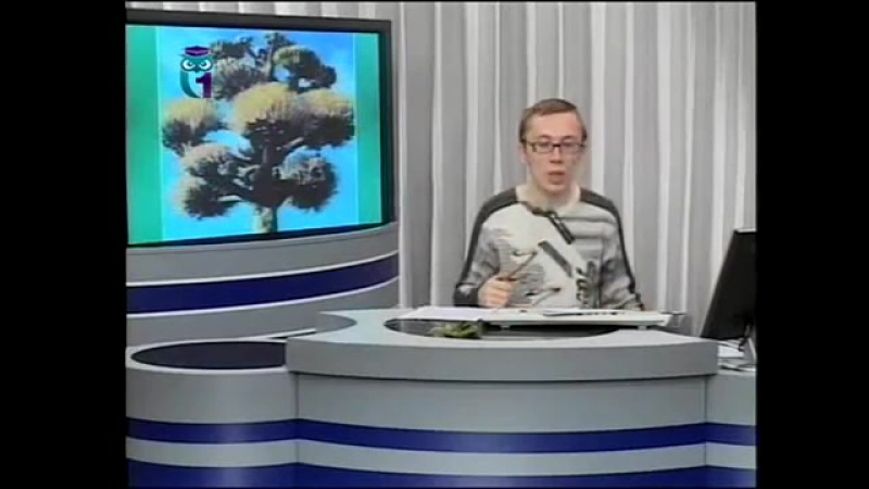 Экология передача 11 температура и вода мир австралийских пустынь