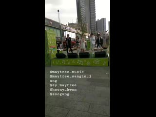 Maytree in moscow payphone live