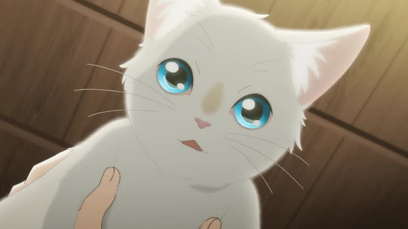 Аниме фильм сквозь слёзы я притворяюсь кошкой