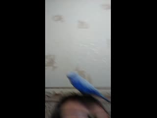 Vid 20181109 072649 mp4