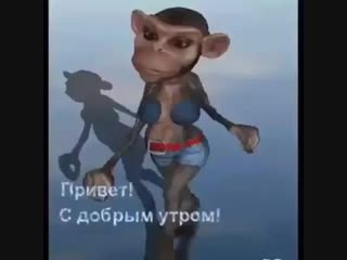 Видео от сании алим