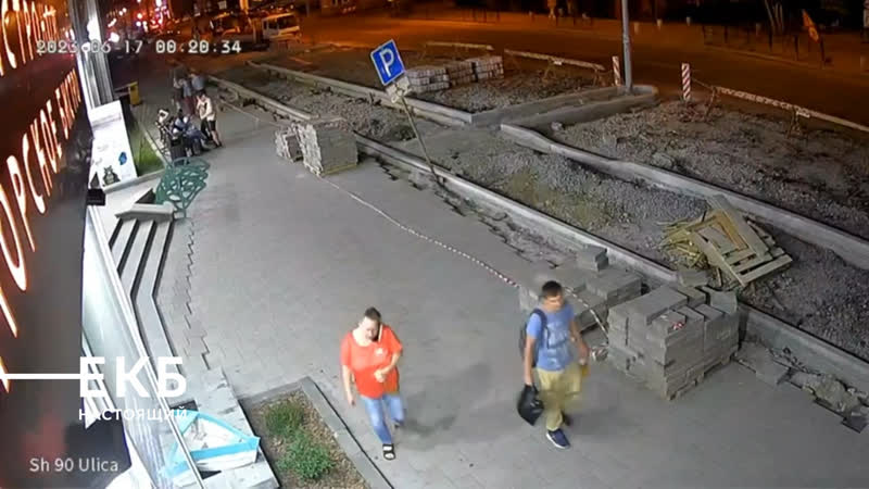 Женщина украла куст