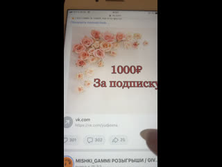 Live mishki gammi розыгрыши / giveaway