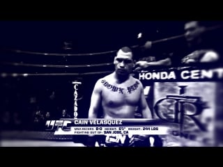 Cain velasquez | hadzeg