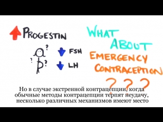 Экстренная контрацепция