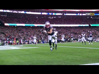 Danny amendola dives to make the catch