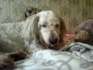 Кушаем усняшку 1