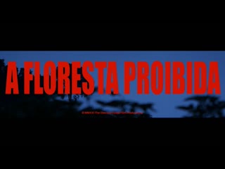 A floresta proibida / the forbidden forest (2021) dir thiago m abrahão