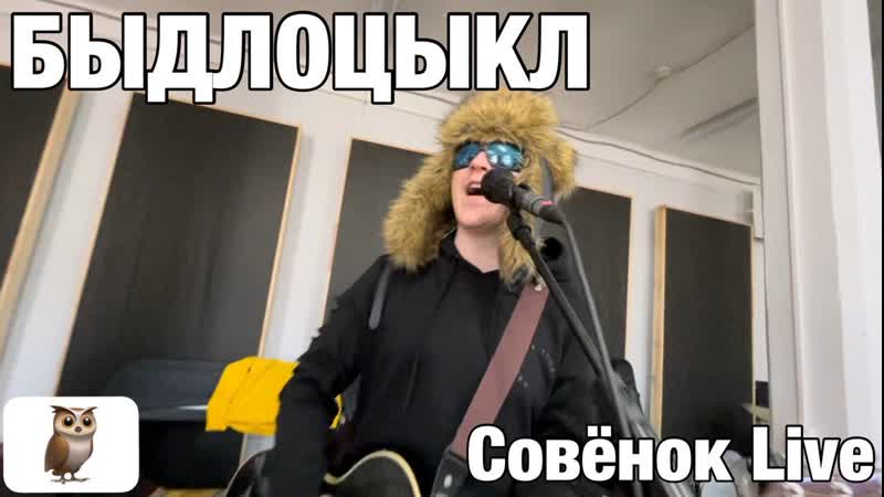 Быдлоцыкл совёнок (live)