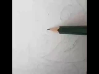 Ledy kotik 20200813 1 mp4