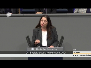 Bundeswehreinsatz im irak bundestag birgit malsack winkemann 12 12 2017