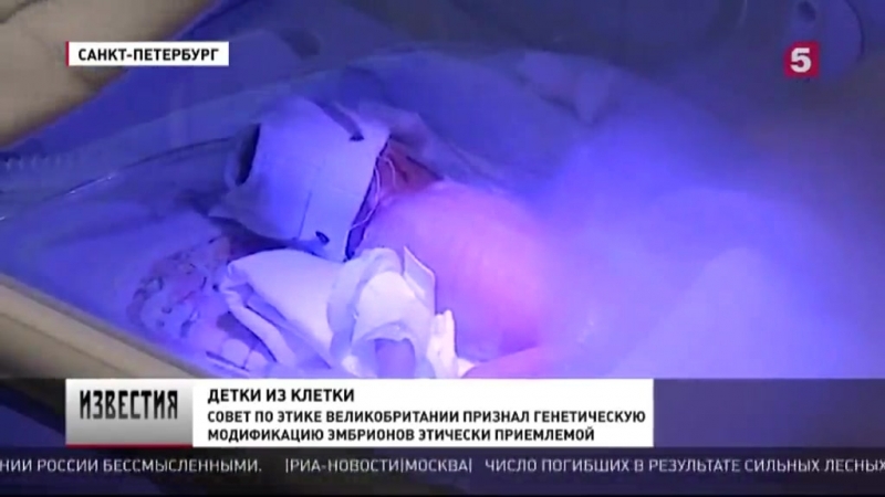 Детки из клетки