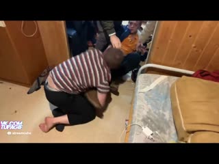 Карлито цепной пёс