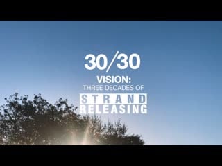 30/30 vision 3 decades of strand releasing (2019)