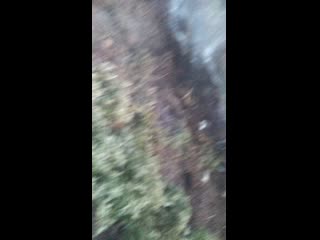 Vid 20190529 212726 mp4