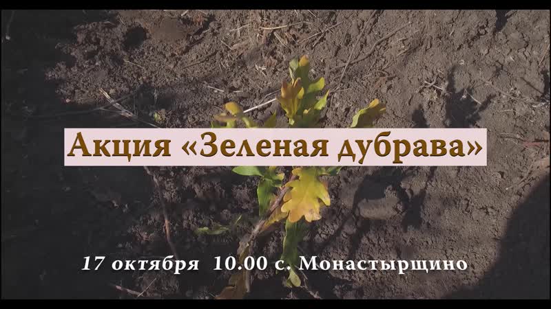 Зеленая дубрава 2019