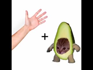 Trash pain 20200906 204252 0 mp4