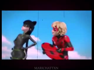 ◦ ィ˖ miraculous ladybug and cat noir ; ladybug ; marinette dupain cheng ; ladynoir ; adrien agreste ; cat noir ; cat bug