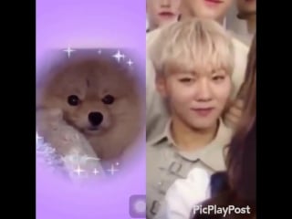 Hello this is the best thing that i have seen in my whole entire existence