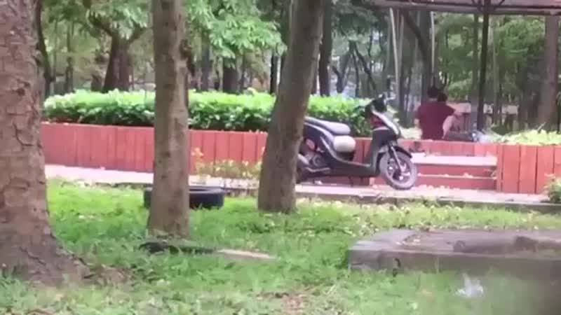 بکن بکن واقعی در بوستان همگانی / 3kaaf@