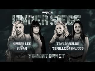 Taylor wilde & tenille dashwood vs kimber lee & susan