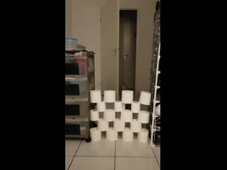 Прикольный котяра 😻 попрыгунчик