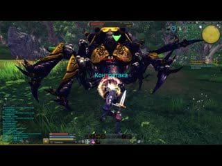 Raiderz windblade мамка паучиха пинается