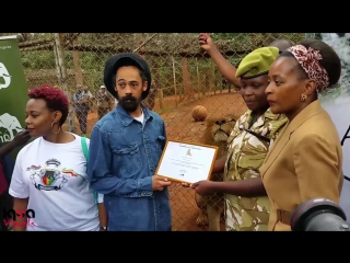 Damian marley at kenya wildlife service adopting a lion