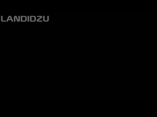 Landidzu