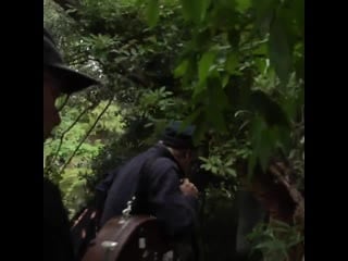 Johnny flynn on the hackney marshes (into the woods)