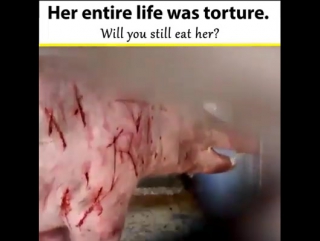 Раб человеческой тирании