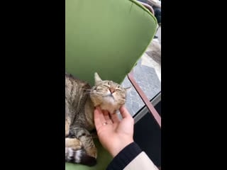 Шнуров ласкает киску