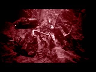 Eden weint im grab tentakel der angst [official videoclip] 2023