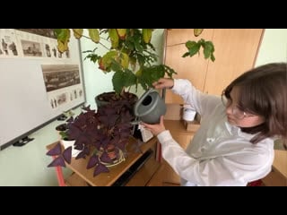 I этап конкурса «успешная молодёжь – 3 0»