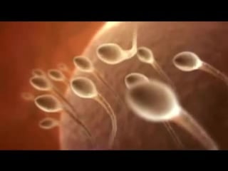 Сделать больше или как рождаются настоящие мужчины)