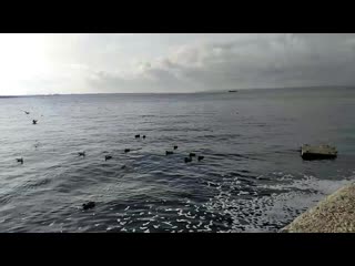 Vid 20201106 103751 mp4