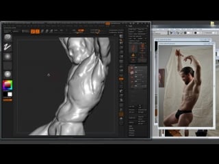 Steve lord «right external oblique and left serratus» (part 26/82)