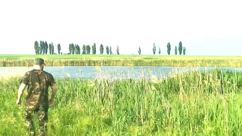 Фильм «русская тайга» hd 2020