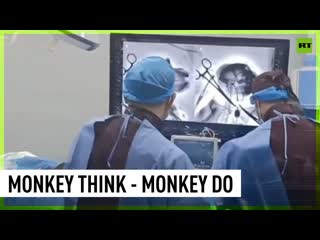 Mind control robot arm for monkeys finally invented