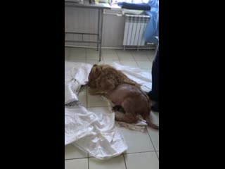 Уколы больны но