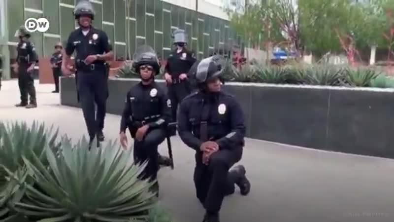 В сша полицейские встают на одно колено в знак солидарности с протестующими