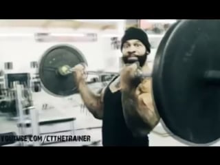 Плюшевая борода даёт уроки