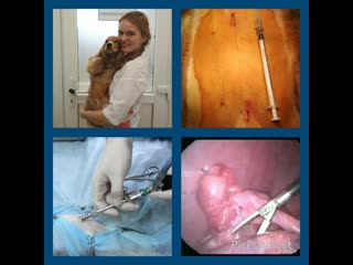 Picplaypost 20200125 12 44 36 mp4