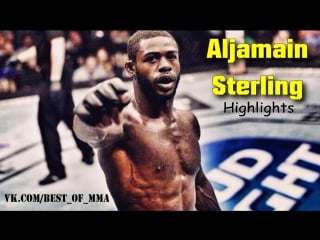 Aljamain sterling highlights