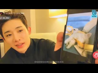 Everyone shut up wonho has two cats and he named them bomi and yeoreum i believe it means spring and summer we fuckin crying t
